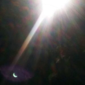 Meet your Posher, Salome